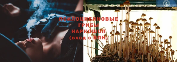 метадон Арсеньев
