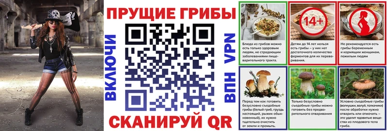 мега маркетплейс  Макарьев  Псилоцибиновые грибы GOLDEN TEACHER 